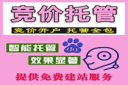 品牌信息流广告推广案例解析